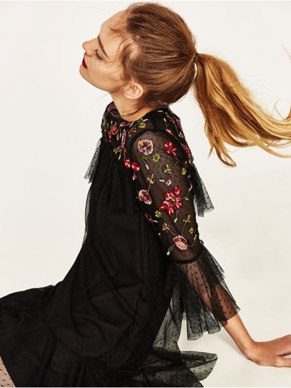 ZARA | Sheer Black Floral Embroidered Mesh Dress